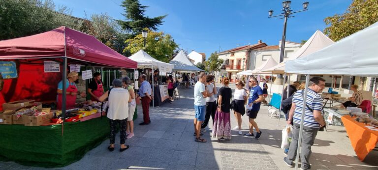 II Mercado Gastronómico y Artesanal en Navalafuente