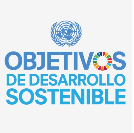 ¿CONOCES LOS ODS?