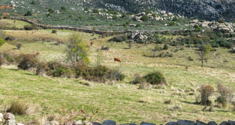 APERTURA DE LOS GRANDES APARCAMIENTOS DE LA SIERRA DE GUADARRAMA